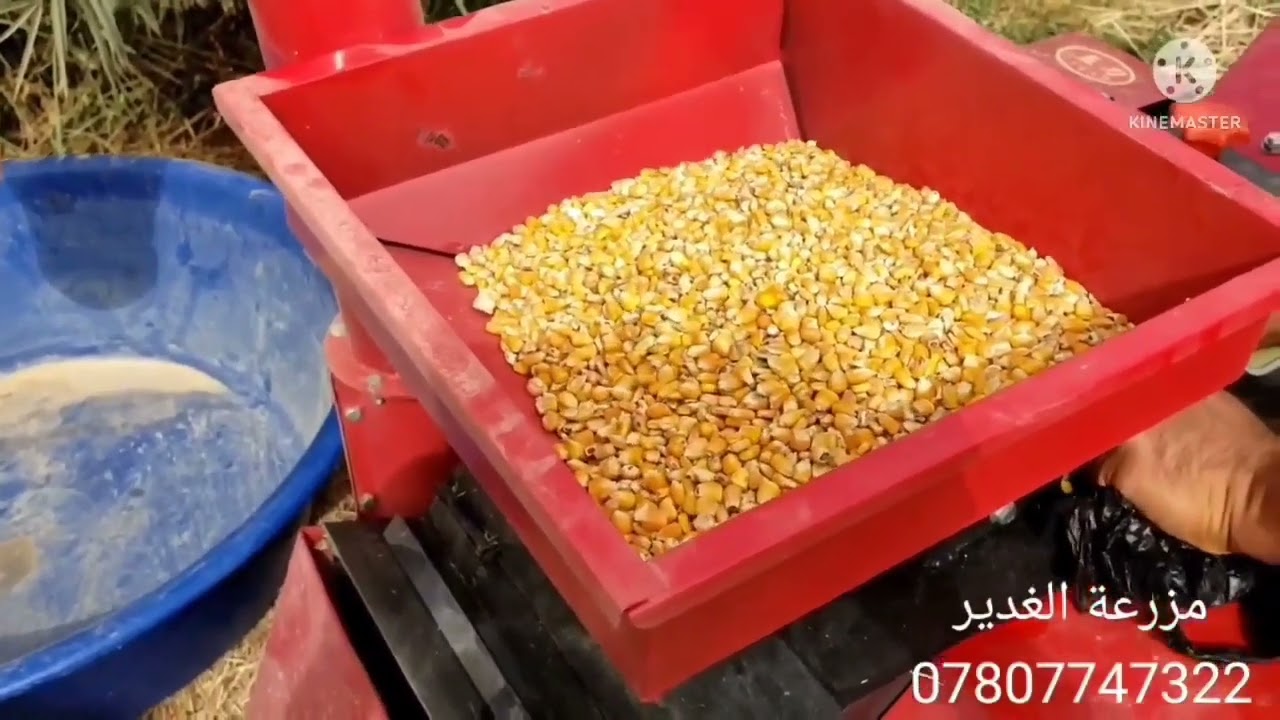 ماكنة تقطيع الاعلاف وجرش الحبوب بقوة 6 حصان
