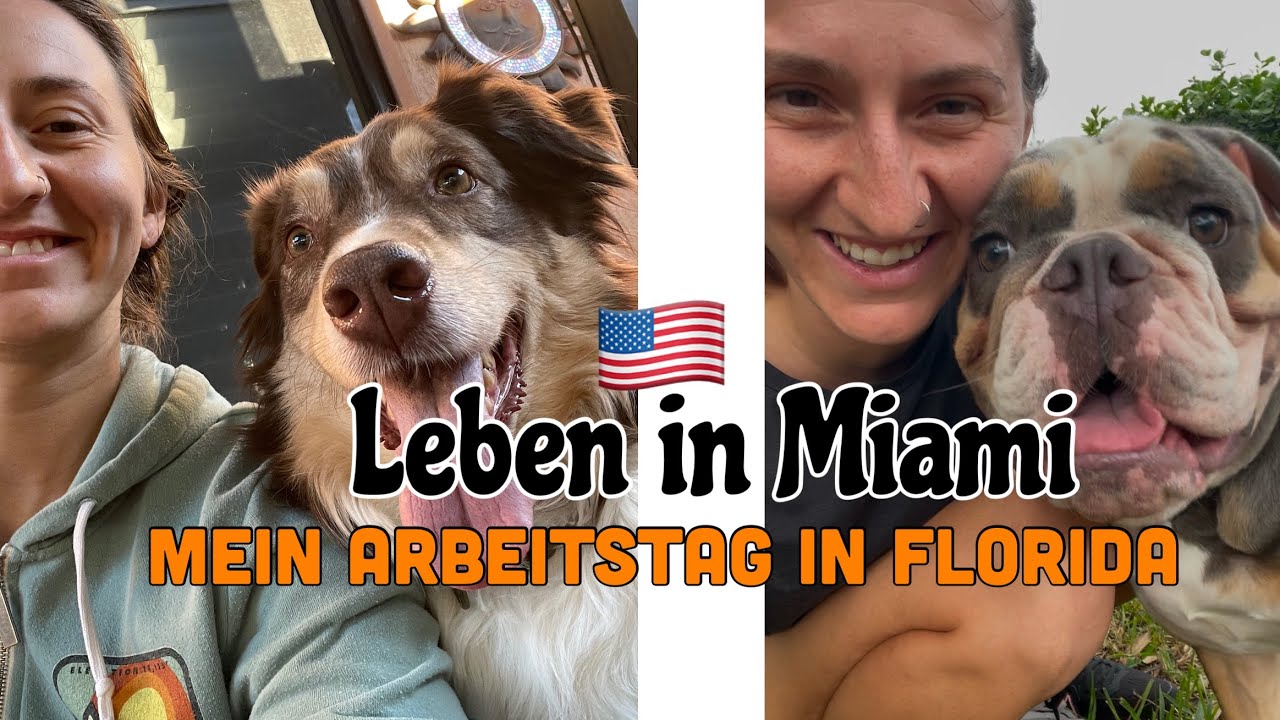 Mein Arbeitstag in Florida 🇺🇸 Dog Sitter Vlog • Auswanderung in die USA