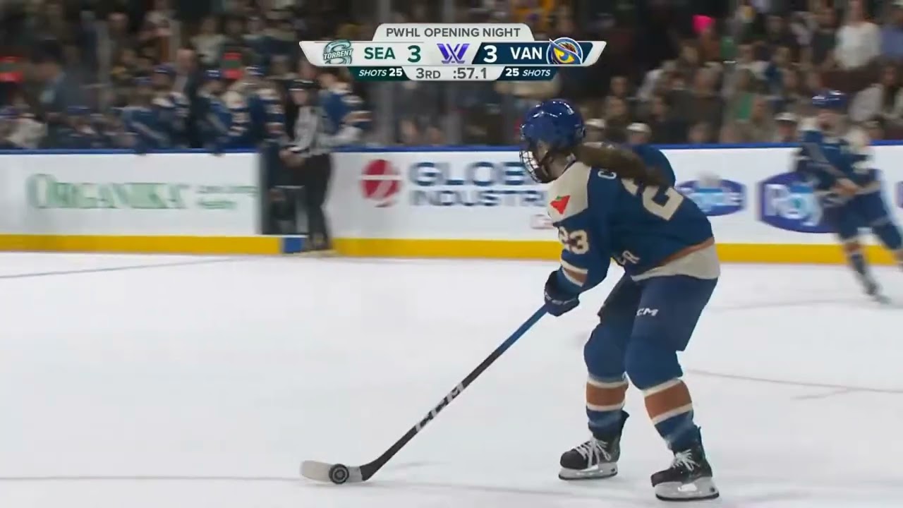 PWHL Hockey Fans Can't Believe This Shot!