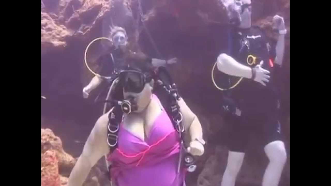 Scuba Diving with Sharks in Roatan