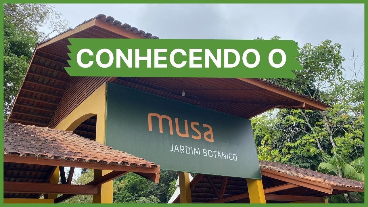 TUDO SOBRE O MUSA - MUSEU DA AMAZÔNIA