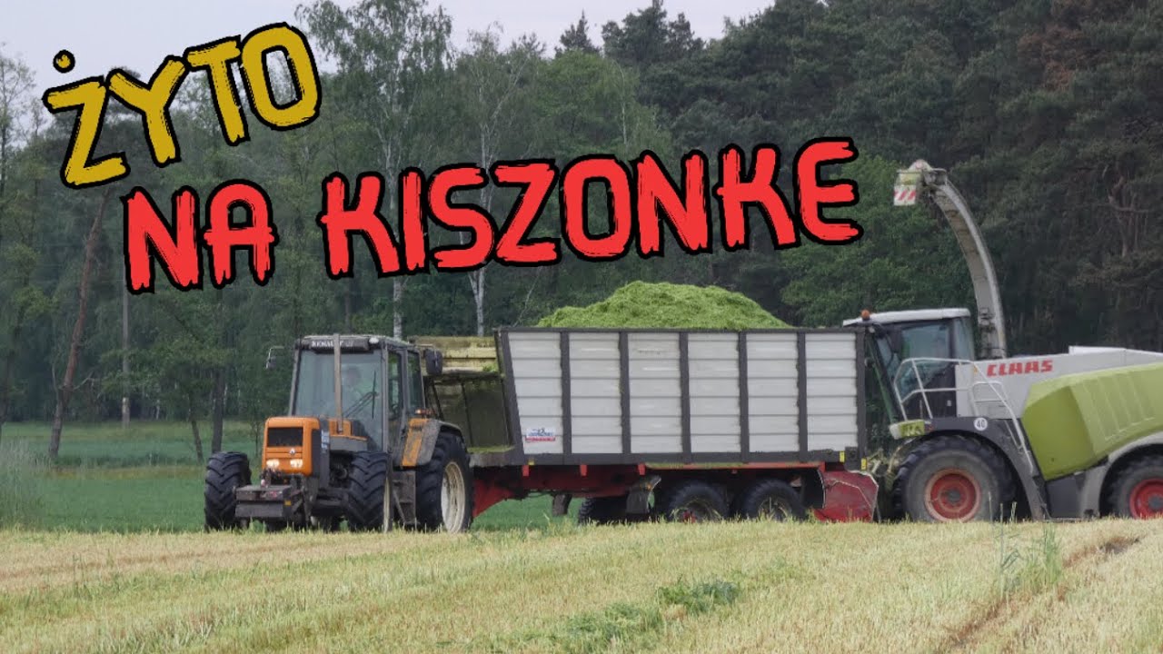 żyto na kiszonkę | Firma AGROMET & GR Matysik