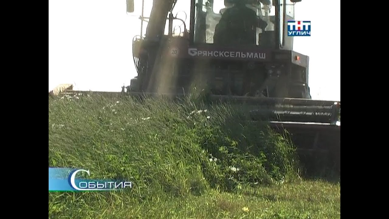 2012/07 – Заготовка кормов в агрофирме «Авангард»