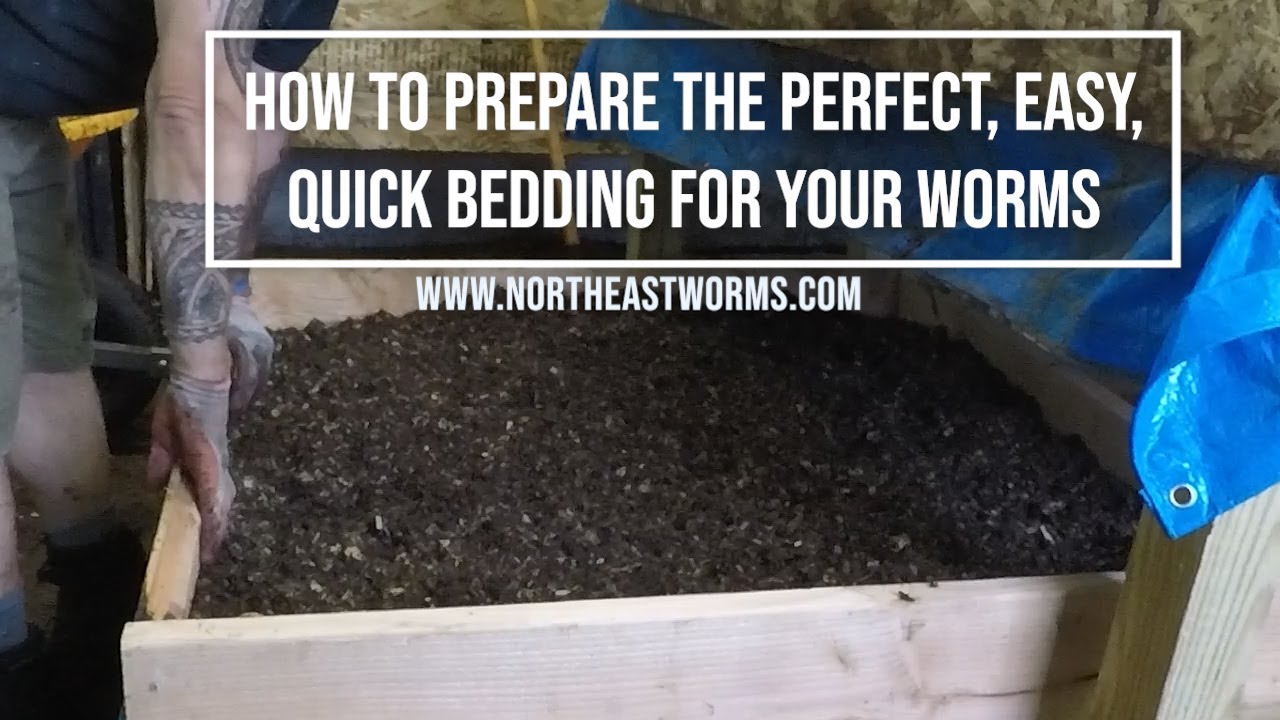 How to prepare the perfect, easy, quick bedding for your worms