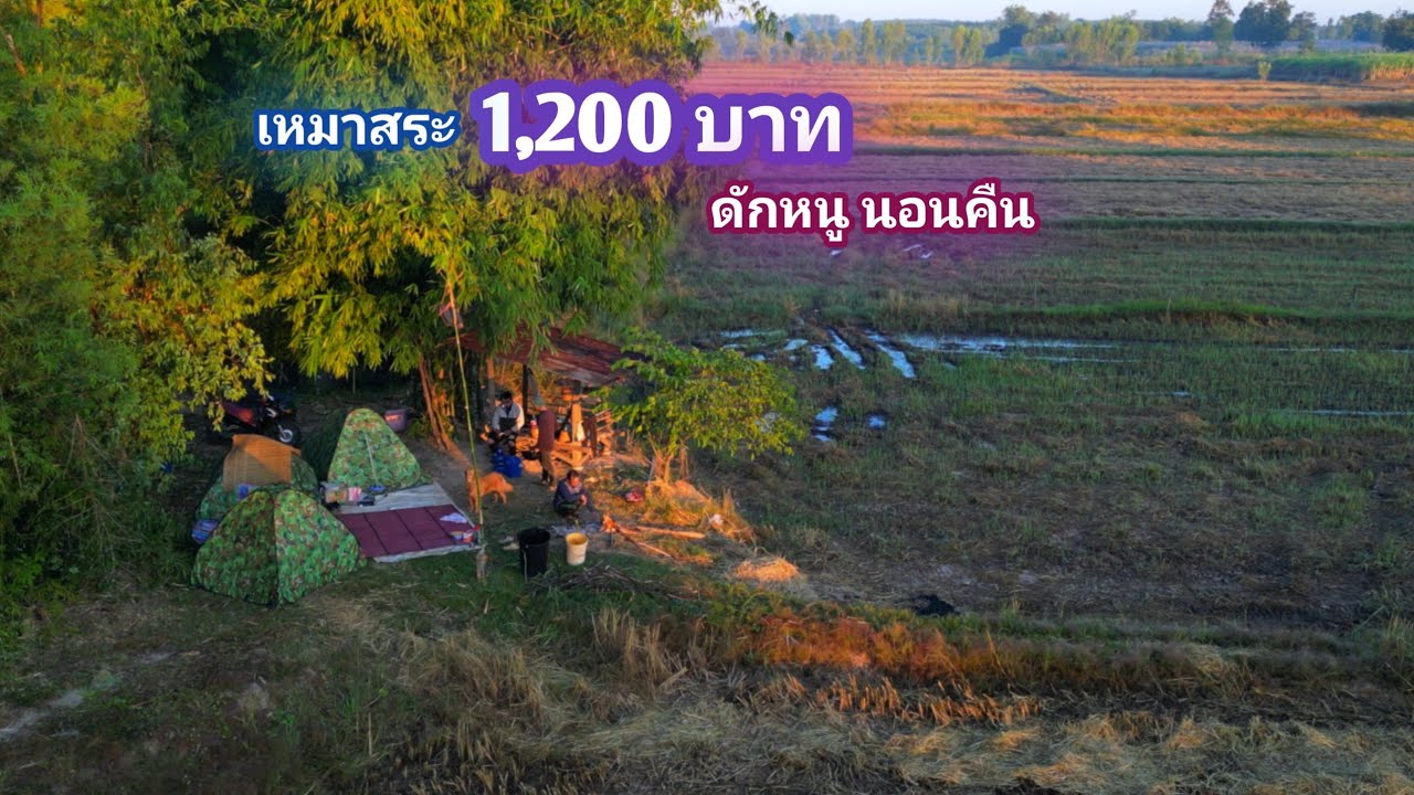 เหมาสระ 1,200 บาท ดักหนู นอนคืน อากาศหนาวๆ สระนี้น่าลุ้นสุดๆ / บ้านนอก EP.973