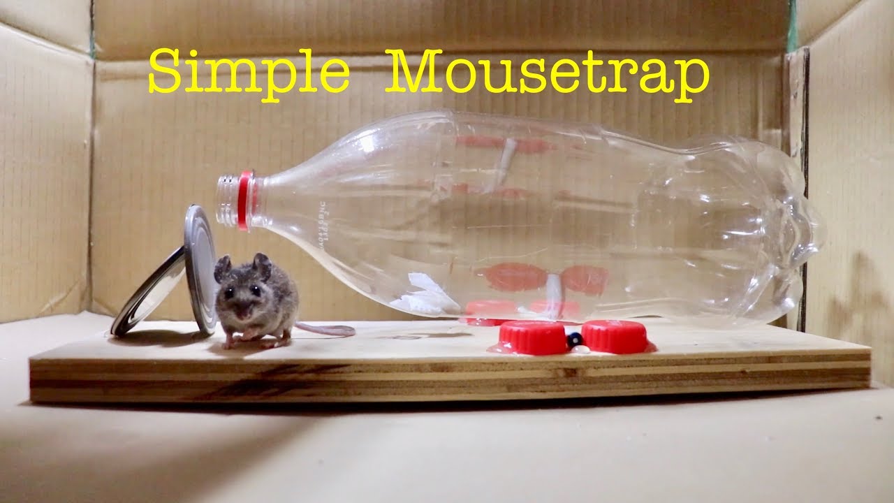 Save Money Building ● Simple Bottle Mousetrap ( that works ! )