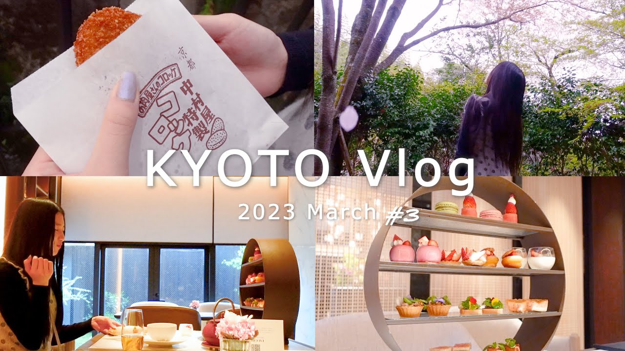 ケイト旅#3【女一人旅Vlog】1泊2日|嵐山🎍|アフターヌーンティー🫖💕|映え旅🫧|京都|Solo female travel in kyoto