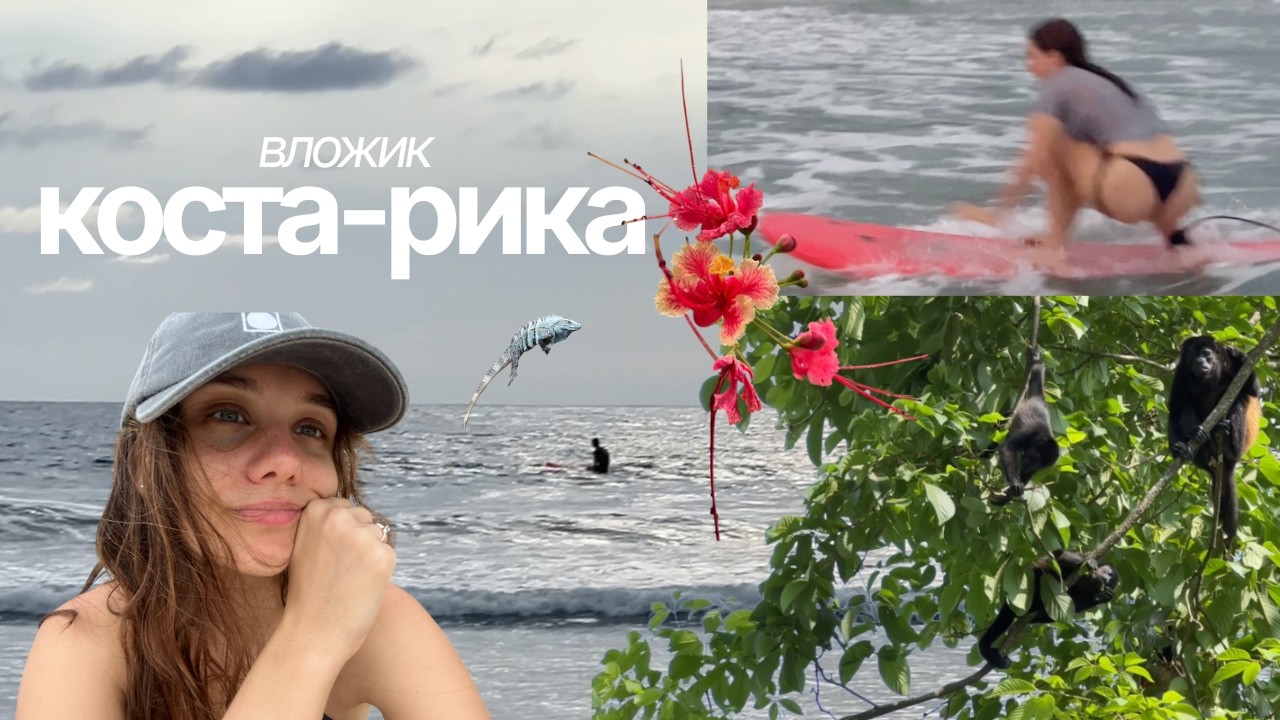 влог из коста-рики | серфинг, природа, рум-тур 🐚