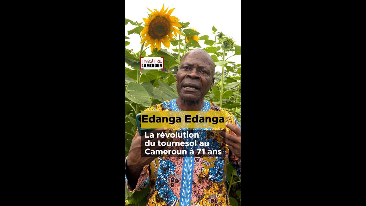 M. Edanga Edanga révolutionne la culture du tournesol au Cameroun à 71 ans ! 🌻🇨🇲