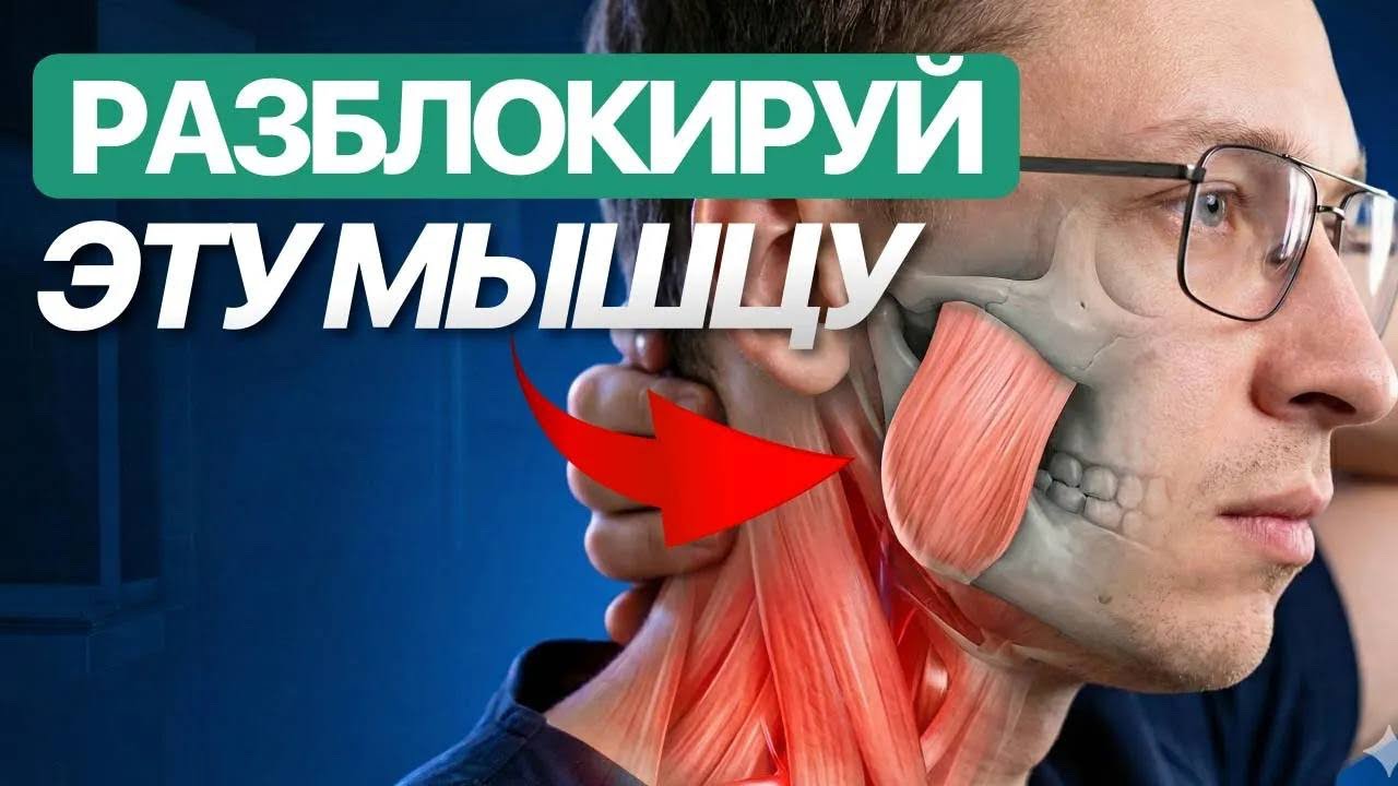 Вылечи ЭТУ мышцу и ТРЕВОГА исчезнет НАВСЕГДА! (Главная причина панических атак)