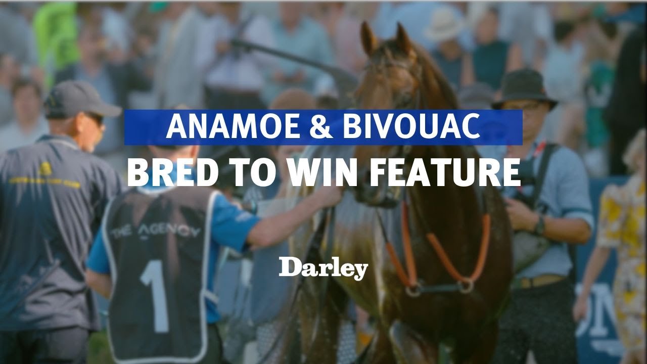Anamoe and Bivouac feature on Bred To Win | 2023