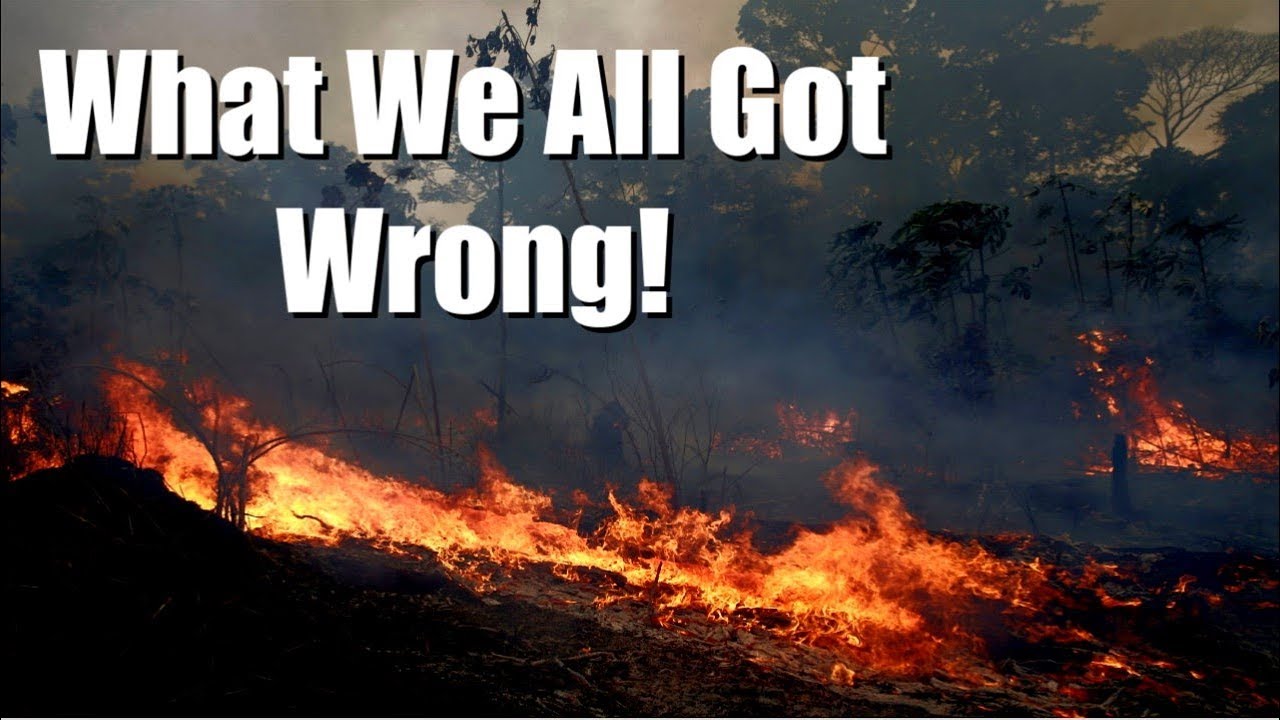 What We All Got Wrong About The Amazon Fires