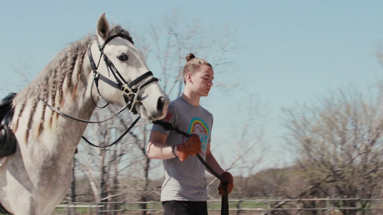 The Life of a Horse