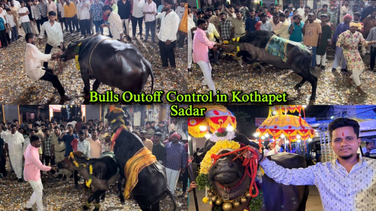 Bulls Outoff Control in Kothapet Sadar 🔥 #sadar #diwali #bulls #hyderabad #satish_liker 