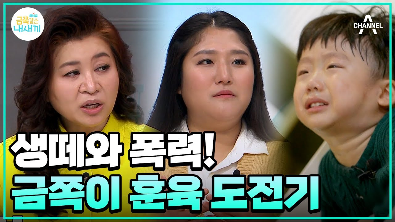 [#금쪽이몰아보기] 떼 잡기 솔루션 중 폭력 발생?! 금쪽이의 훈육은 성공할 수 있을까? #오은영 #금쪽같은내새끼 | 금쪽같은 내새끼 171 회