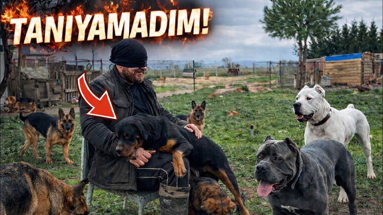 KÖPEKLERİMİ GÖZLERİM KAPALI TANIMAYA ÇALIŞTIM | SONUÇ FELAKET