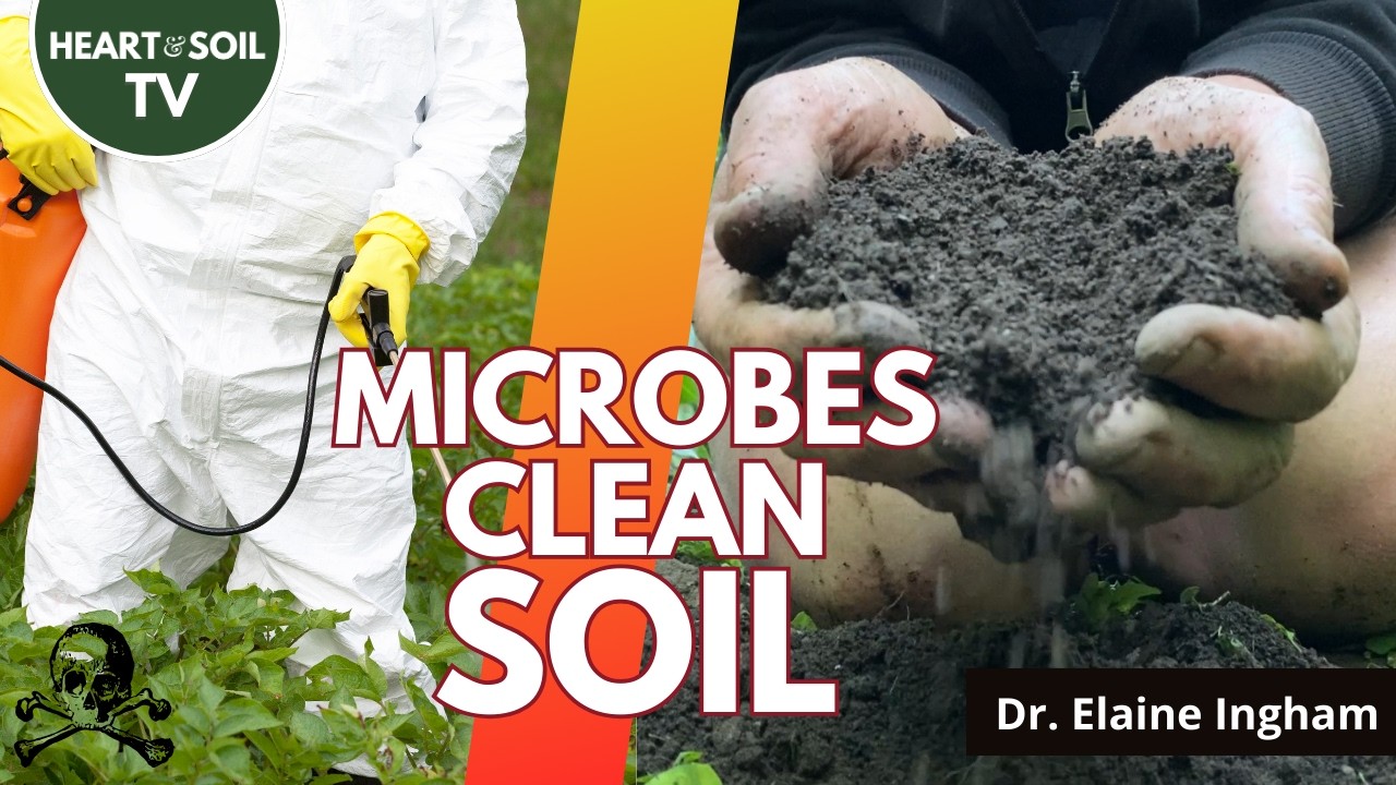 How Soil Biology Can Get Rid of Toxic Chemicals | Dr. Elaine Ingham, Soil Food Web