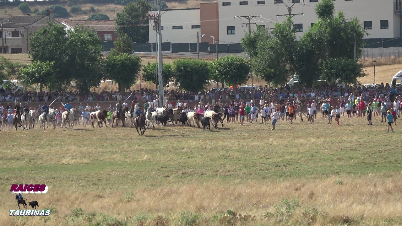 TRADICIONALES ESPANTES 2025- FUENTESAUCO (ZA)- SABADO 05/07