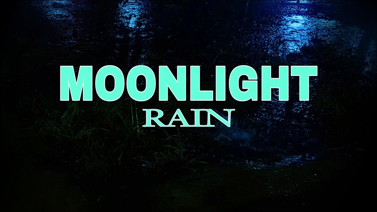 MOONLIGHT RAIN on Puddle | Cold Night Rain Sounds for Sleep.