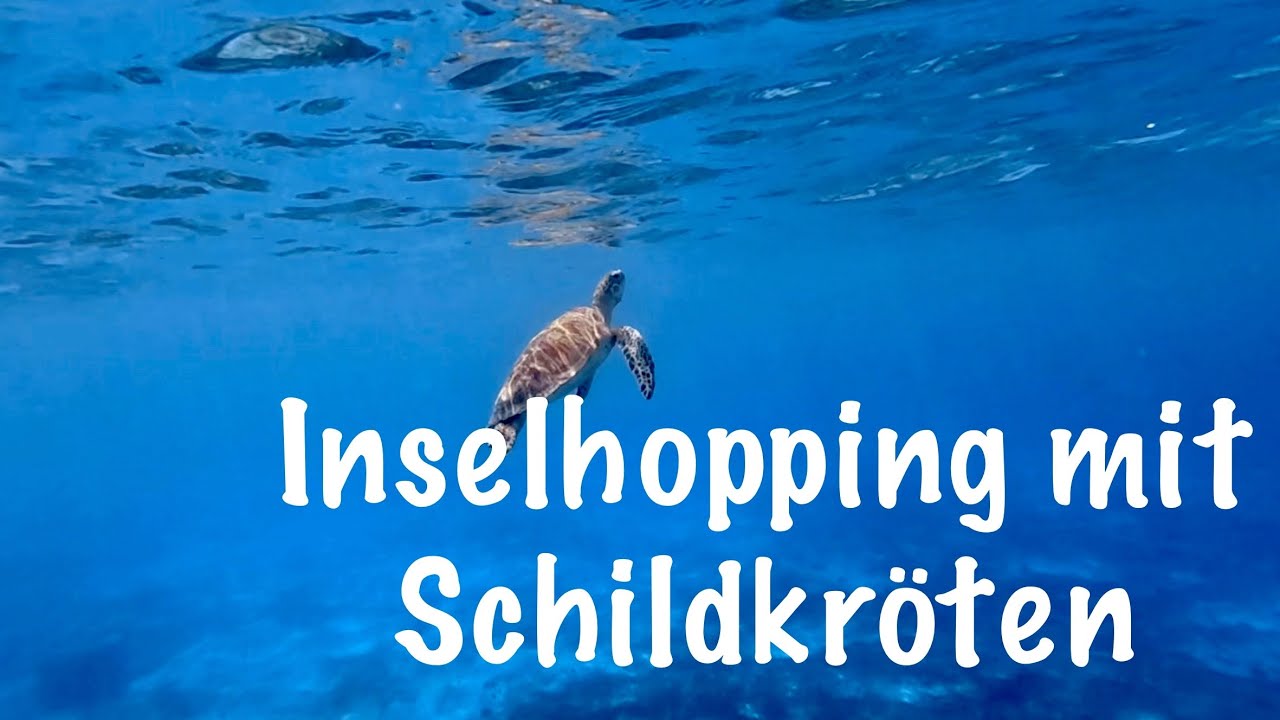 Inselhopping von Bequia nach Baliceaux,Mustique und Martinique (Karibik Saison 2023)