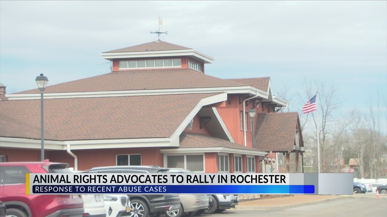 Rochester activists rally after dog found dead, push for reform