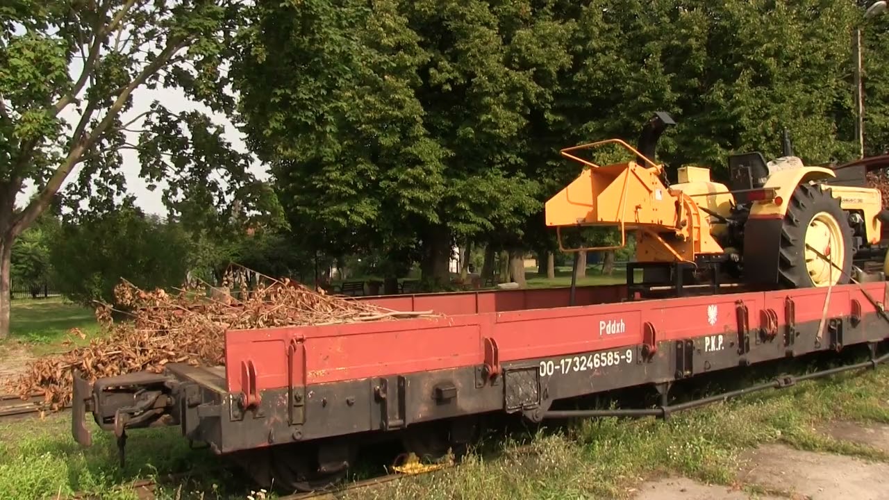 Węzłowa, wąskotorowa stacja Stegna