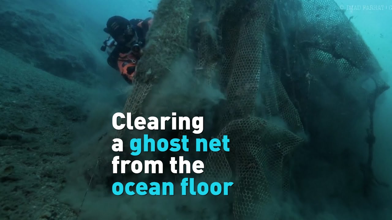 Clearing a ghost net from the ocean floor