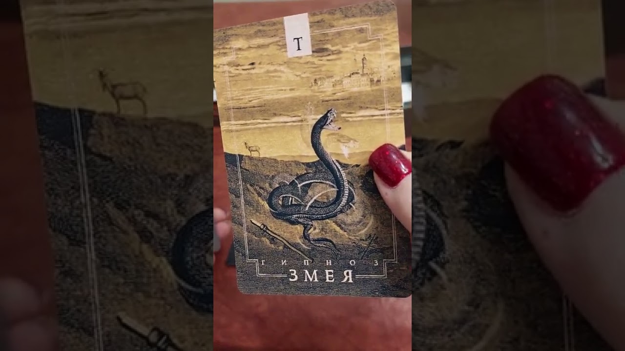 спиритический оракул тотемов.распаковка
