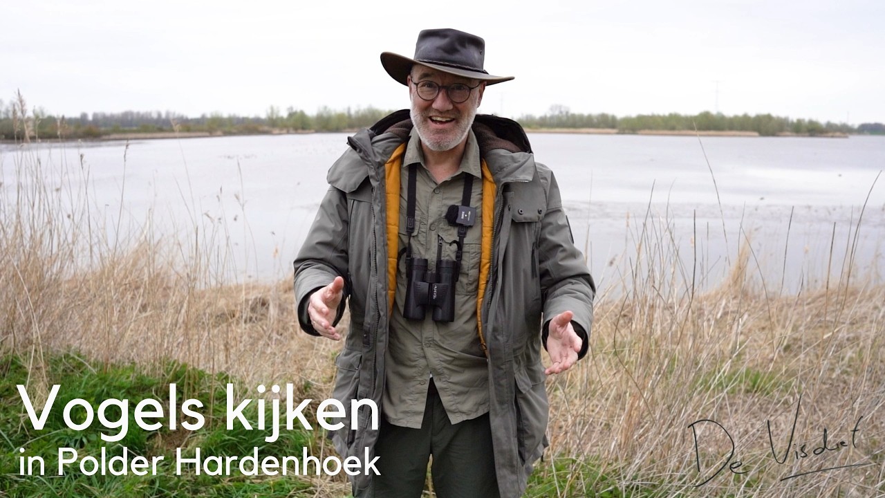 Vogels kijken in Polder Hardenhoek #1668
