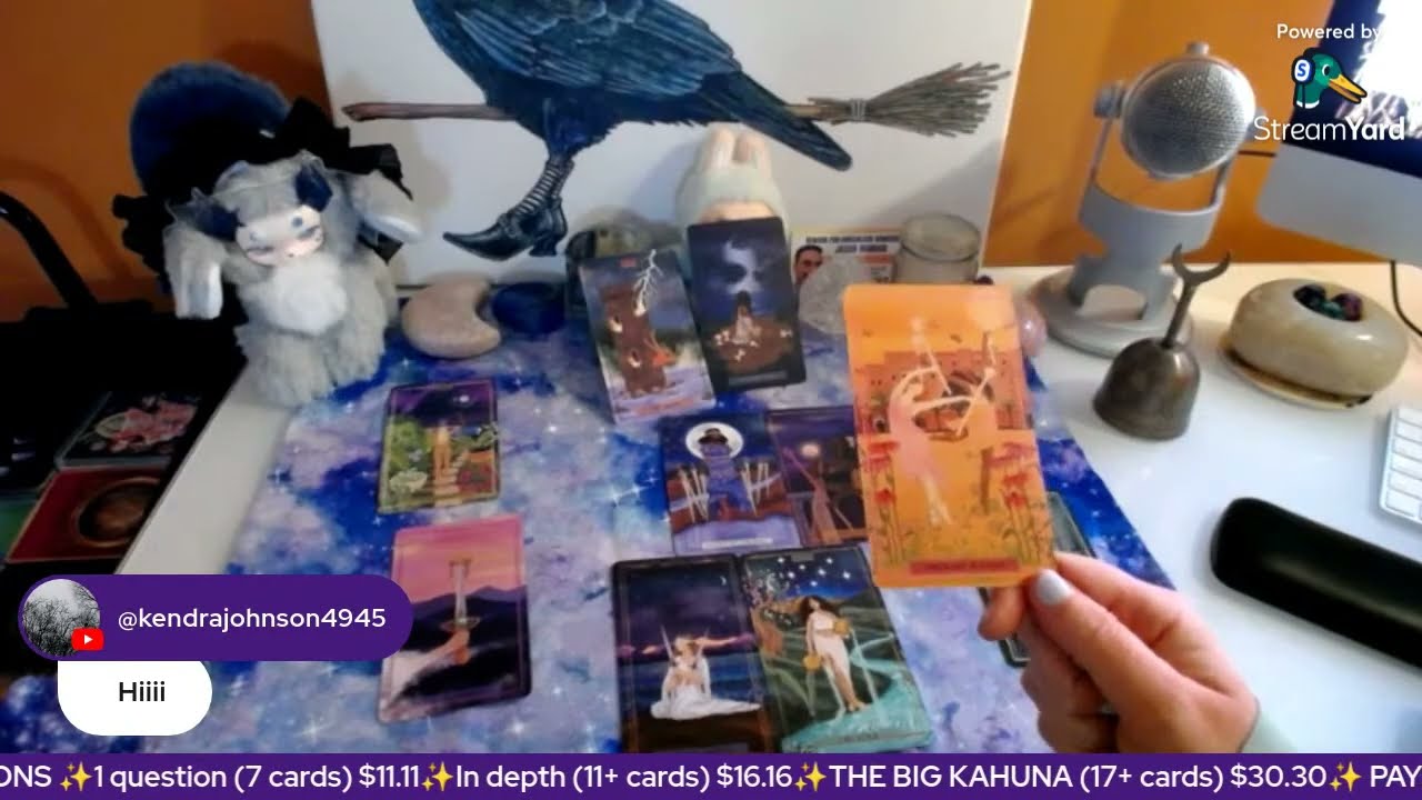 🌼 LIVE TAROT READINGS 🌻