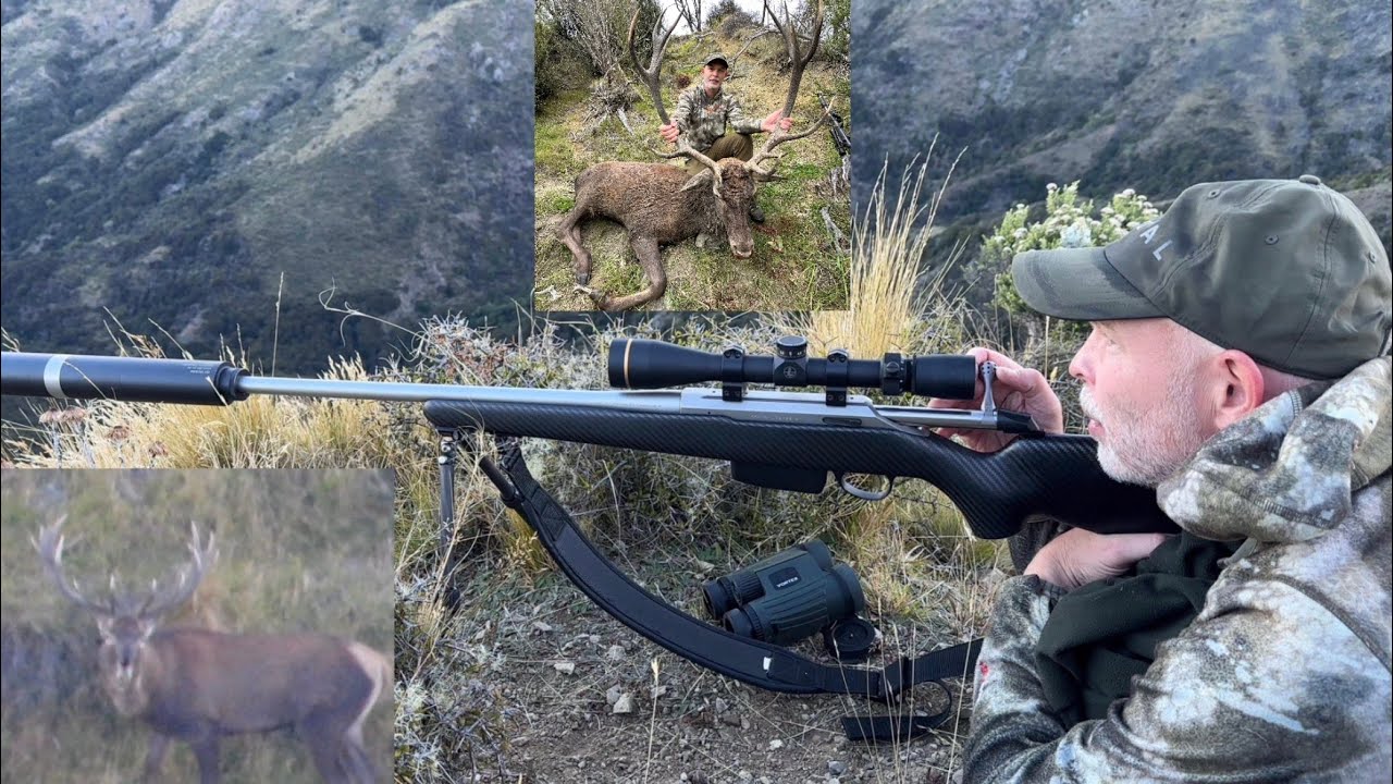 Охота на оленей в Новой Зеландии | 300 Win Mag