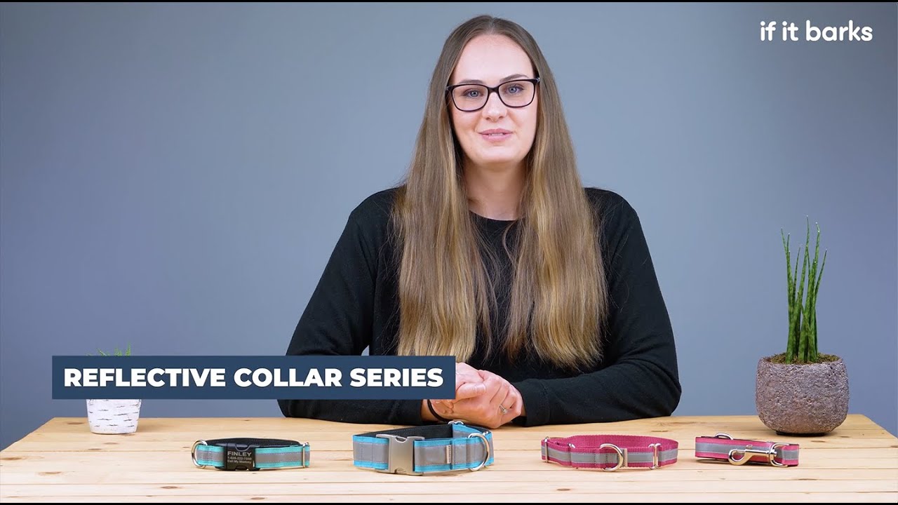 Reflective Collar Series - If It Barks