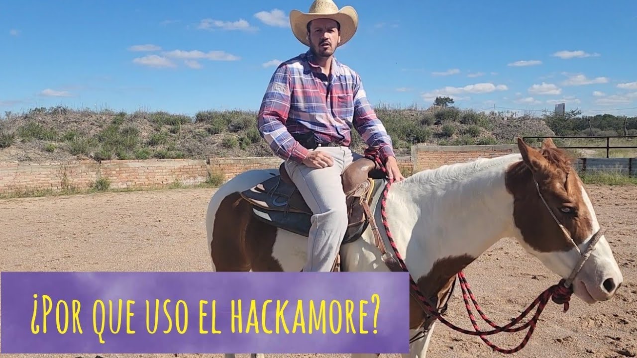 ¿Por que uso bosal o Hackamore? y veremos si es mejor o peor que trabajar con un freno