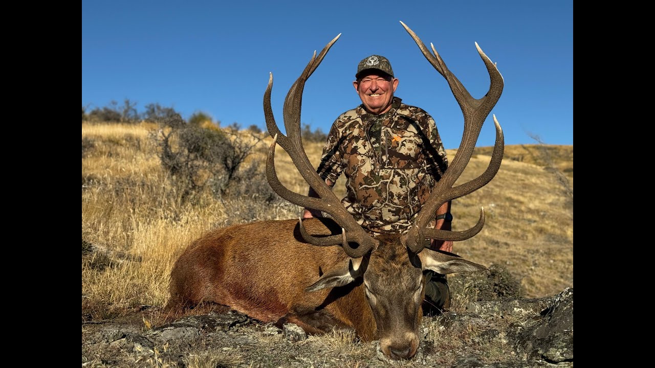 Forged in the Wild - New Zealand Red Stag Hunt  A Father–Son Bond