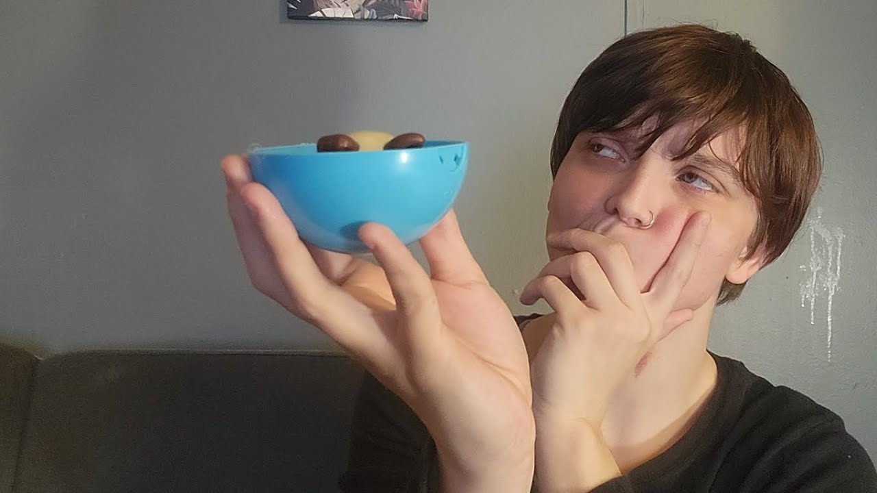 Toy review (pet rescue)