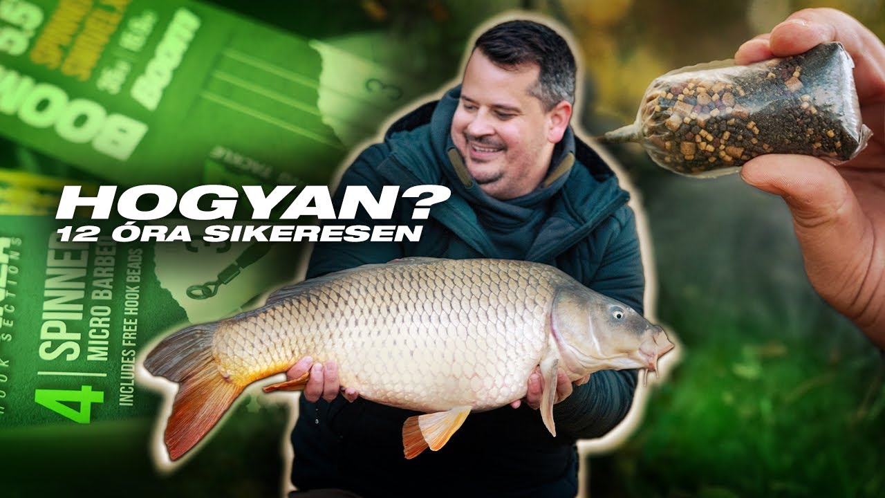 12-óra alatt sikeresen