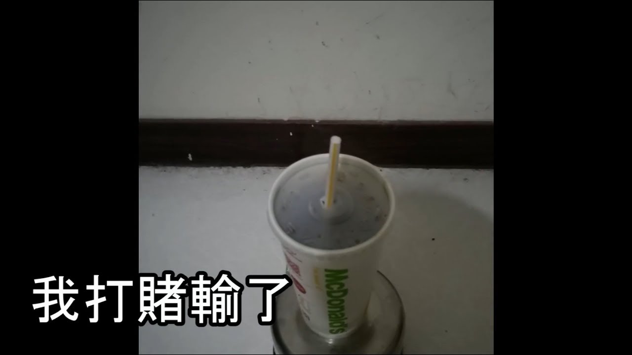 王國紀元：夜貓【倒立喝可樂】