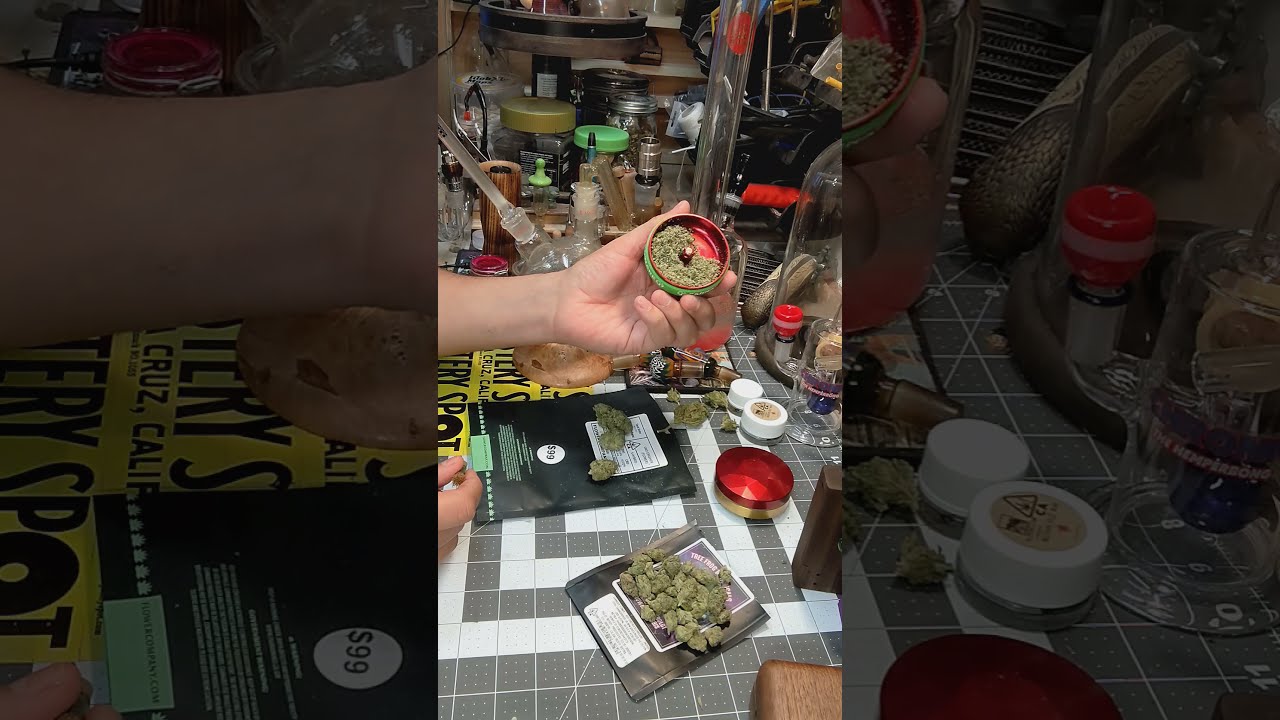 Strain Review: GMO x Crasher (FlowerCo) vs Slurricane (Tree Frog Botanicals)