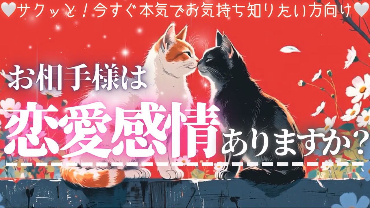 ❤️恋愛感情ある？❤️新シーズンSTART❤️お相手様の気持ち【辛口ありタロット本格有料鑑定級】