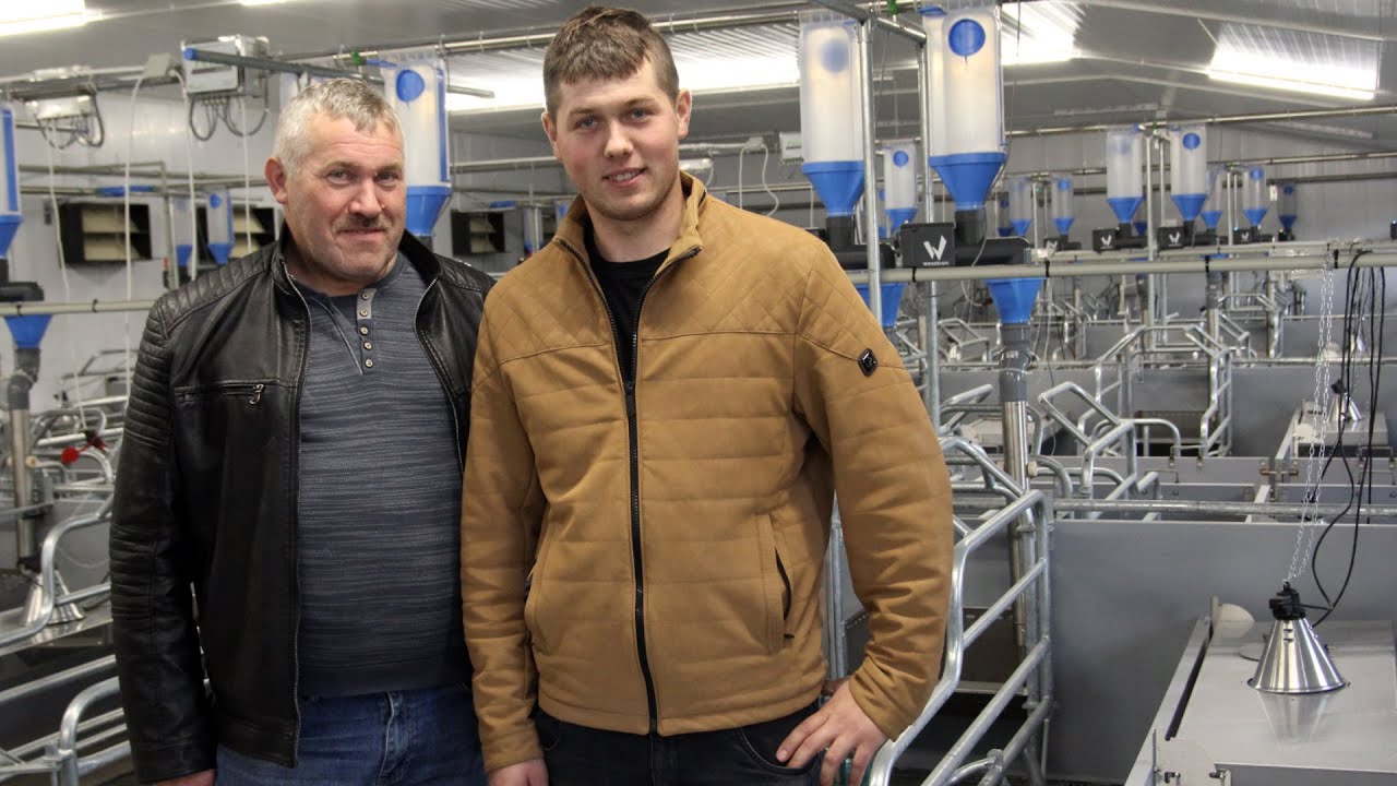Nowoczesna chlewnia do produkcji prosiąt