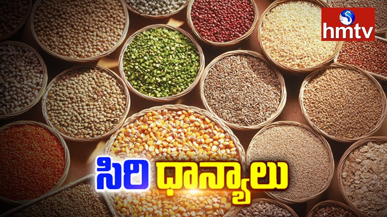 Special Focus on Chiru Dhanyalu | Millets | Telugu News | hmtv