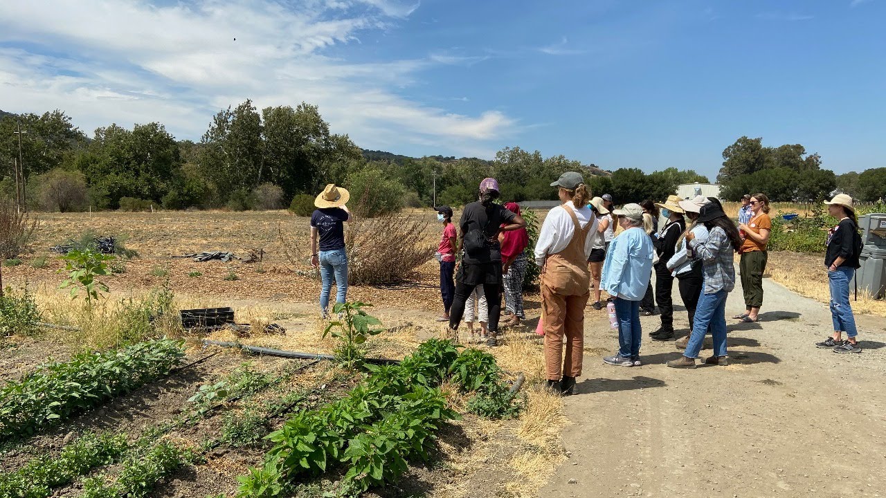 Livestream: Veteran Women in Agriculture