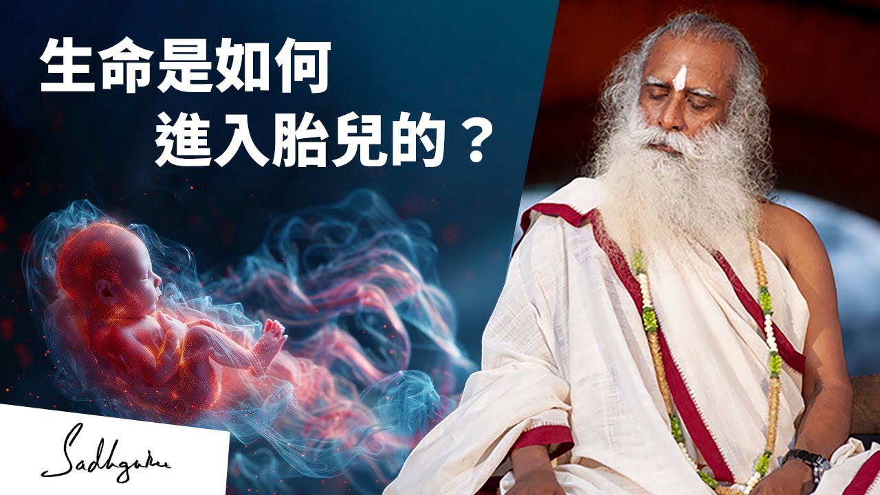 👼生命是怎麼進入胎兒的？