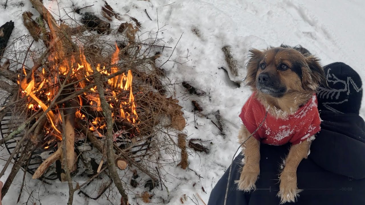 Fire in the Snow: Winter Bushcraft Practice!!!
