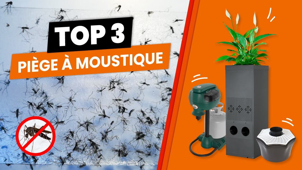 TOP 3 piege anti moustique