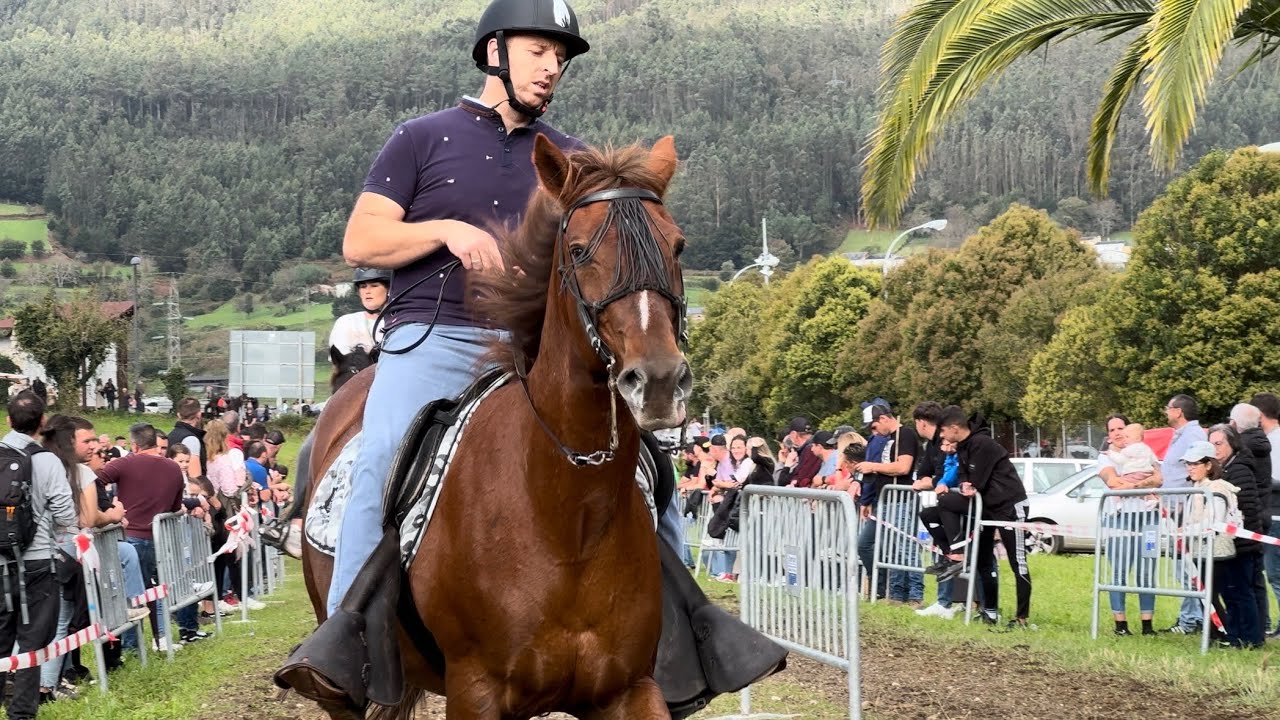 Concurso de andadura galega - As San Lucas 2024