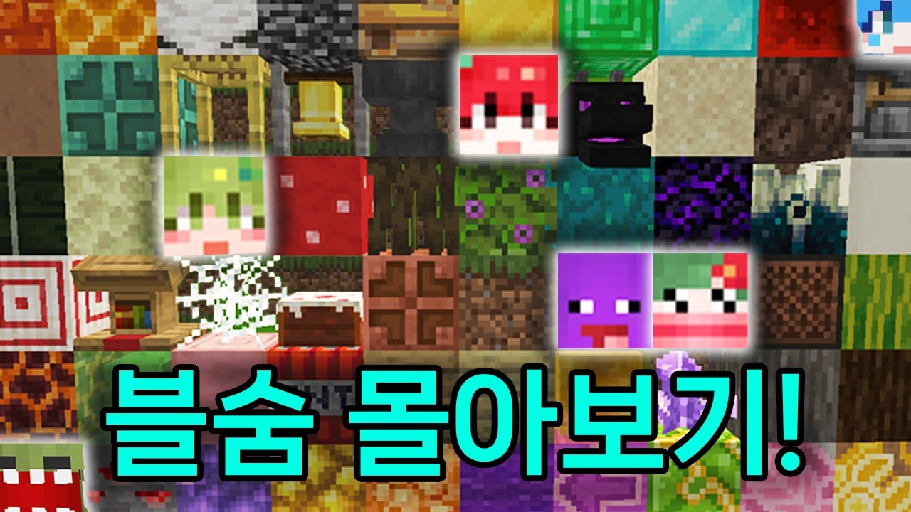 *추석 특집* 블록 숨바꼭질 몰아보기!!