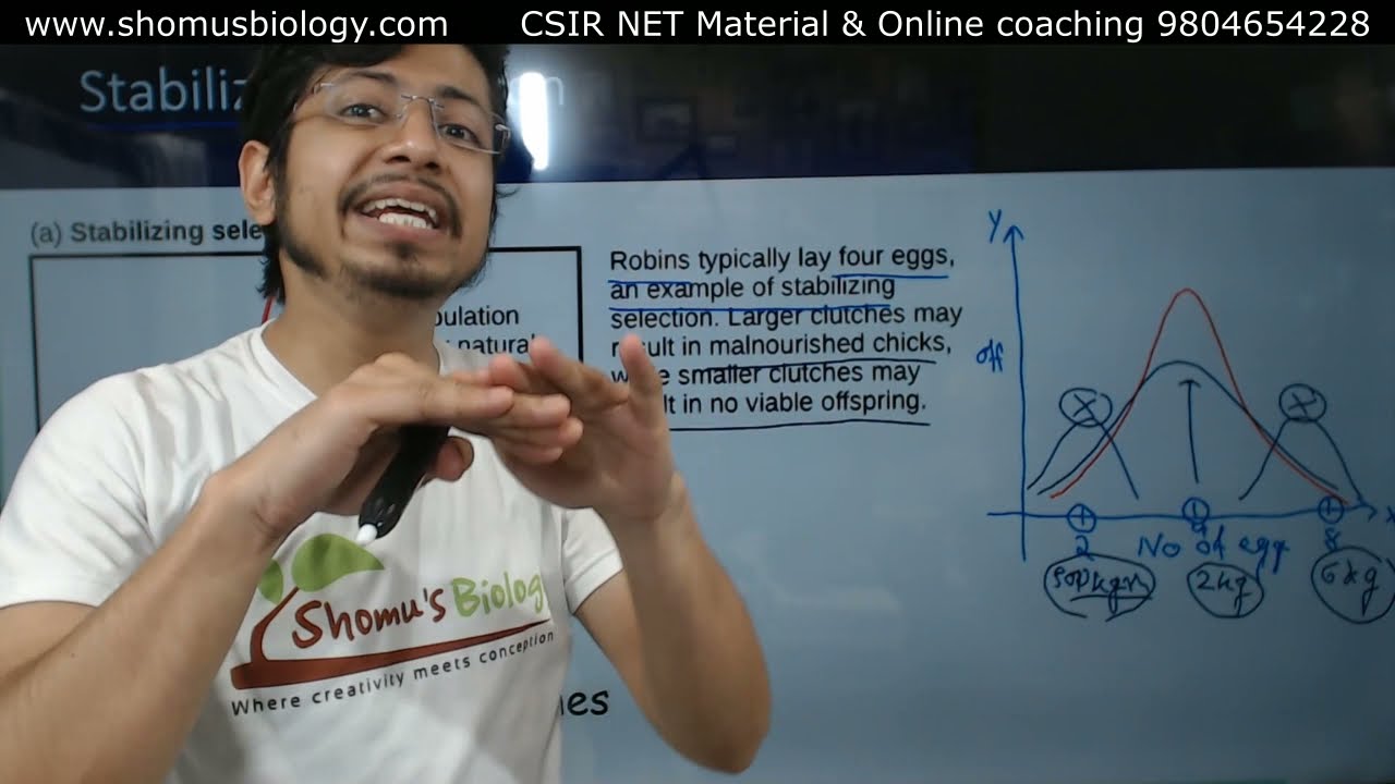 Stabilizing selection | Stabilizing natural selection