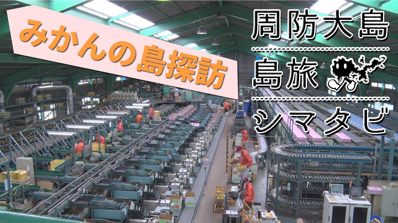 周防大島観光協会番組「シマタビ」第十六回～みかんの島探訪～