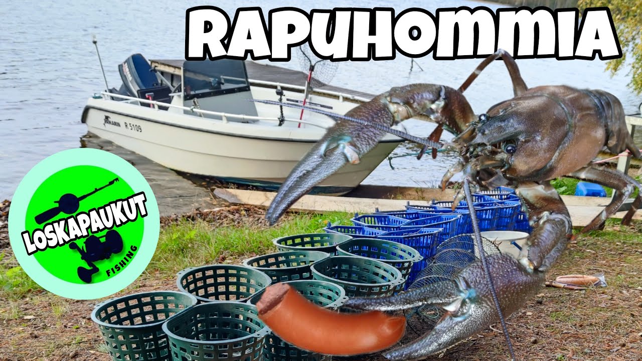 Loskapaukut - Rapuhommia